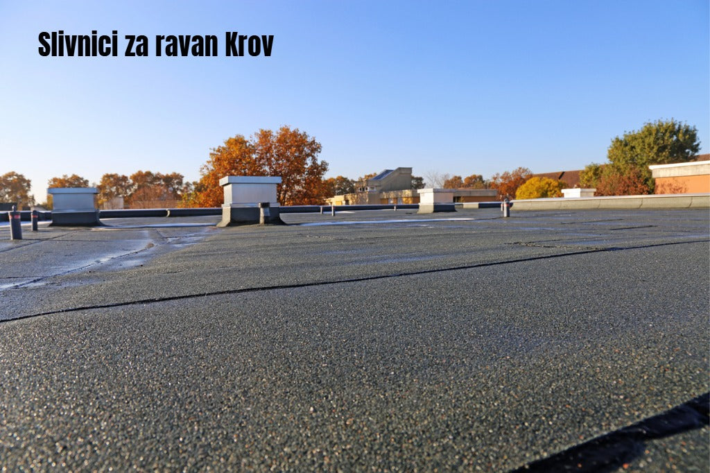 Krovni slivnici